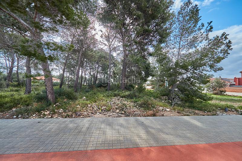 Foto 77d3645c-be2c-4548-8850-d0cb0bd22efa. Chalet in Pla de Santa Maria (El)