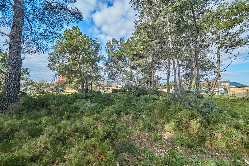 Foto c5703843-8e3a-4f65-8ec9-a8dfa7e40c6e. Chalet in Pla de Santa Maria (El)