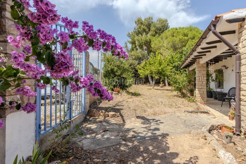 Foto 51a79f50-52b0-49e3-8565-6e072f31685e. Casa amb xemeneia aparcament a Llorenç del Penedès