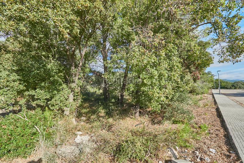 Foto 5d1fa88b-af26-4360-89ae-9fb9bbe8765b. Chalet in Alcover