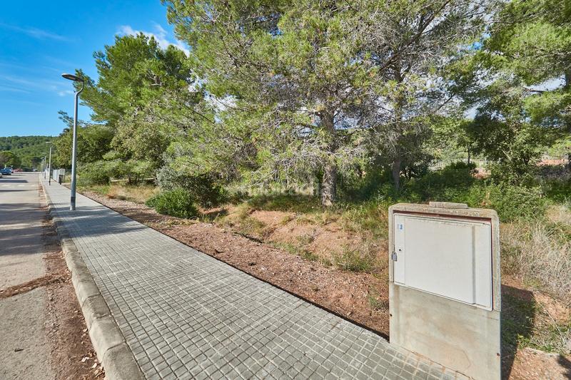 Foto 78d2be21-21db-4177-88cd-0f1aff5f92df. Chalet in Alcover