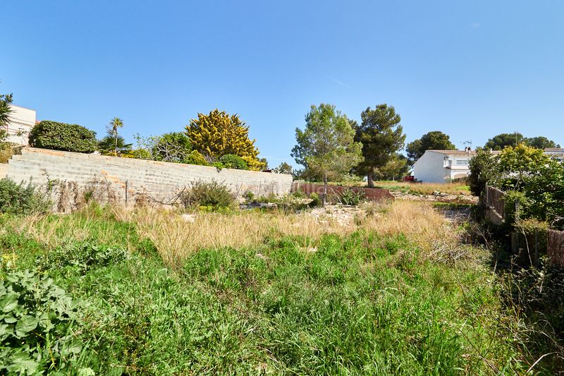 Foto be2a466a-10e9-4968-9e24-27191f477fd0. Xalet a Pobla de Montornès (La)