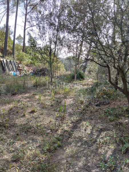 Foto 06217d92-4846-4bb8-b219-cdd255a2c248. Terreno residencial en Castellnou de Bages