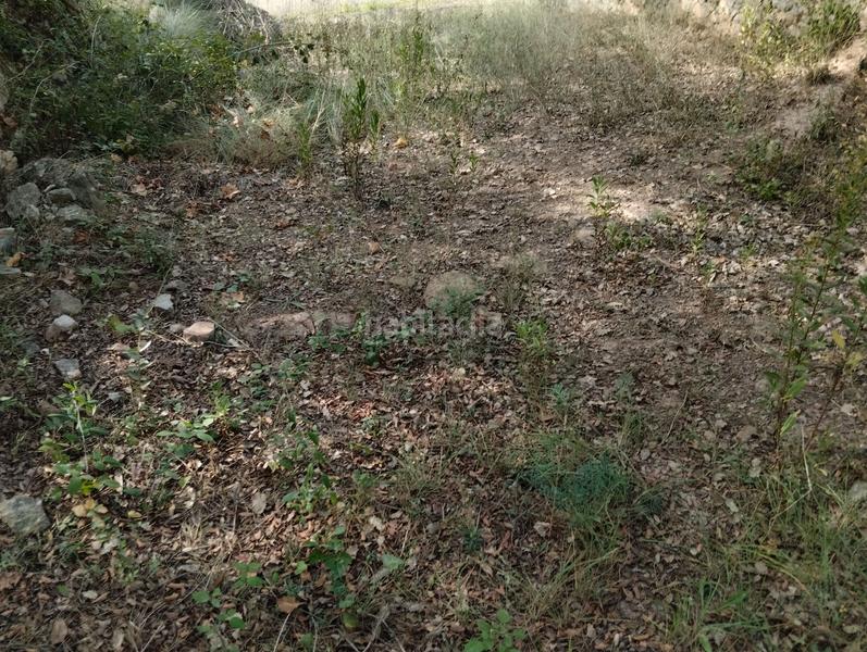 Foto 7bfc4d9e-64f9-41d1-9a7a-c1b1143e2817. Terreno residencial en Castellnou de Bages