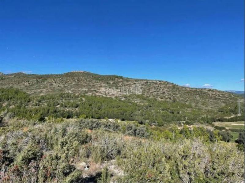 Foto 7573cf07-e8f0-4481-b255-d784aca9d8f7. Wohngrundstück in Pratdip