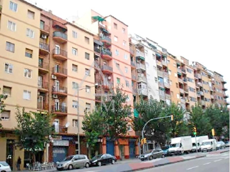 Foto 3b1f38ed-a6cc-4394-a591-2cc130f7bf60. Pis a Mariola Lleida