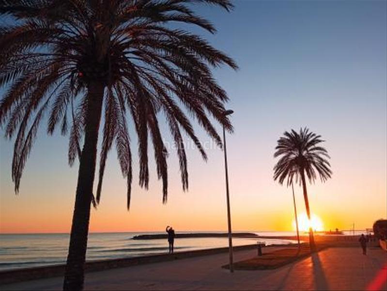 Foto 101f43dc-3788-48af-bdcf-47aea54ac82a. Local commercial dans Can Toni Cunit