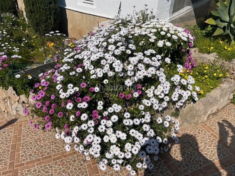 Foto 420384de-7dd2-4b03-b9a8-a5fbe263fe41. Chalet in avinguda alacant 16 in Sant Antoni Cullera