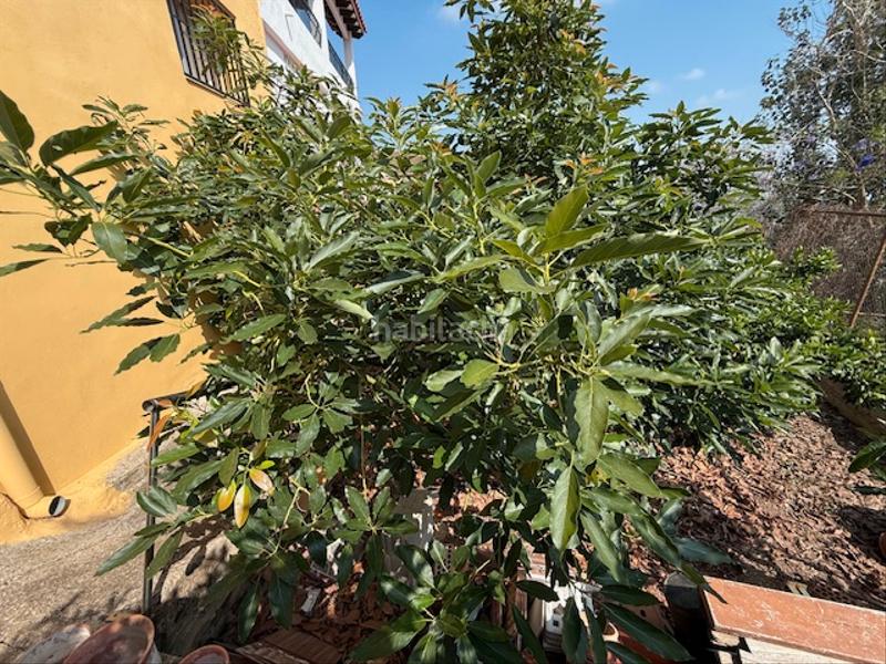 Foto cf609ab0-869b-4273-9801-a8db39ec4823. Chalet in plaça poligono 12 52 in Urbanitzacions i Pedanies Nord Alzira