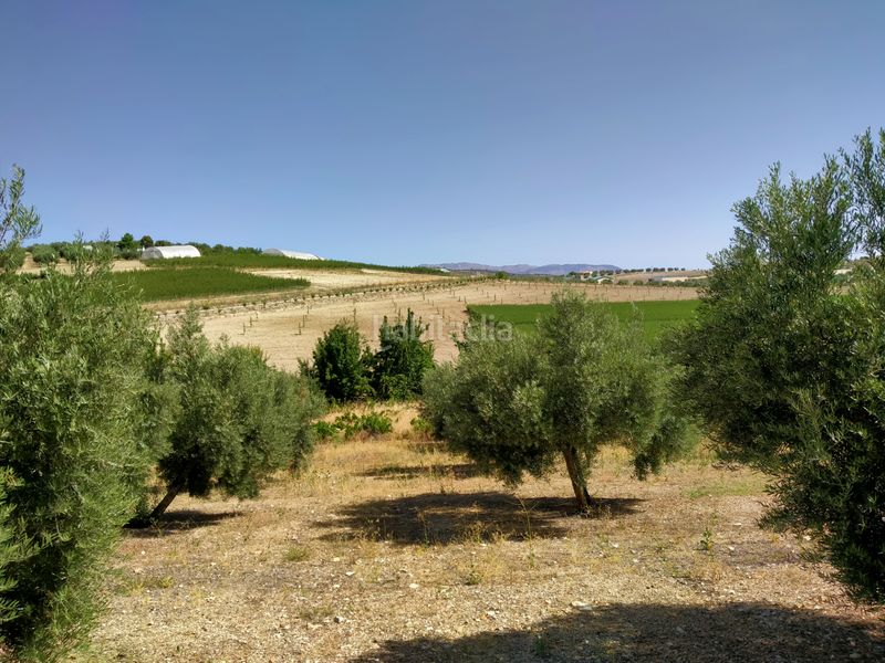 Foto 3beb83a3-79e0-4fdc-ac85-a72e67d96586. Finca rústica a Montejícar