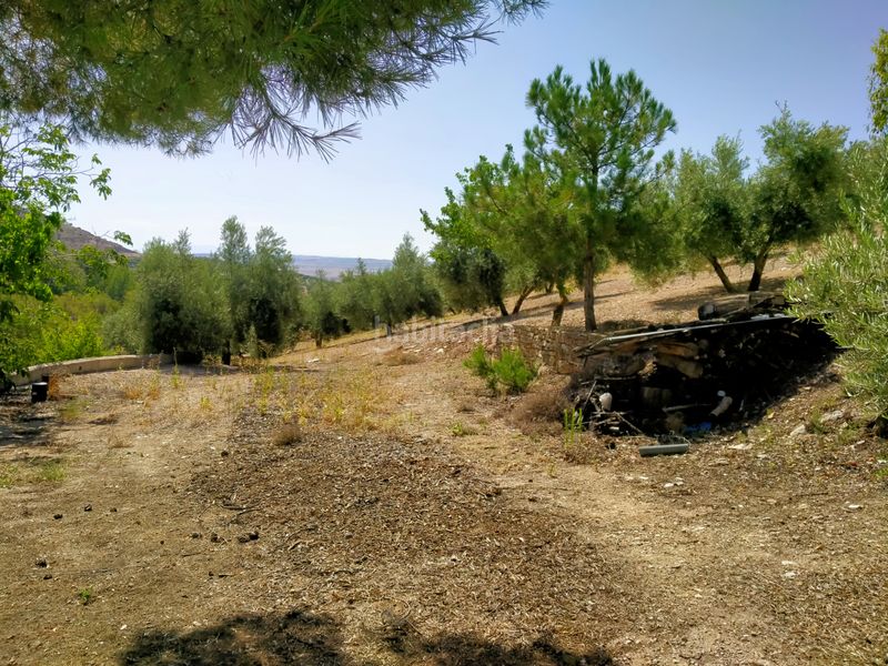 Foto 43406cd9-24b8-4c43-9ce3-14878c5f500c. Finca rústica a Montejícar