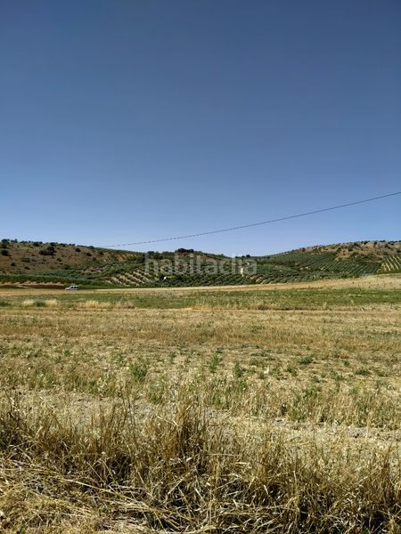 Foto 6656af51-dd38-4156-85e8-508b2c19d967. Finca rústica a Montejícar