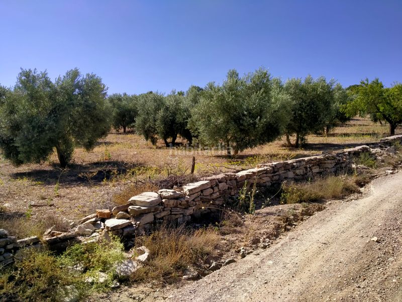 Foto 898420dc-4082-4ebd-92fa-f0d2aa0488d3. Finca rústica a Montejícar