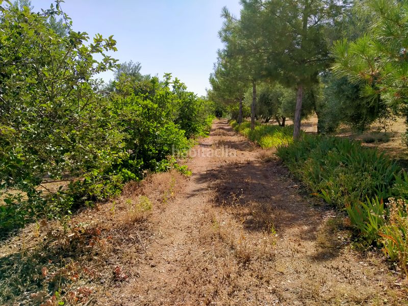 Foto a1c06a23-97ba-4c4e-8b72-a7e0a51139fc. Finca rústica a Montejícar