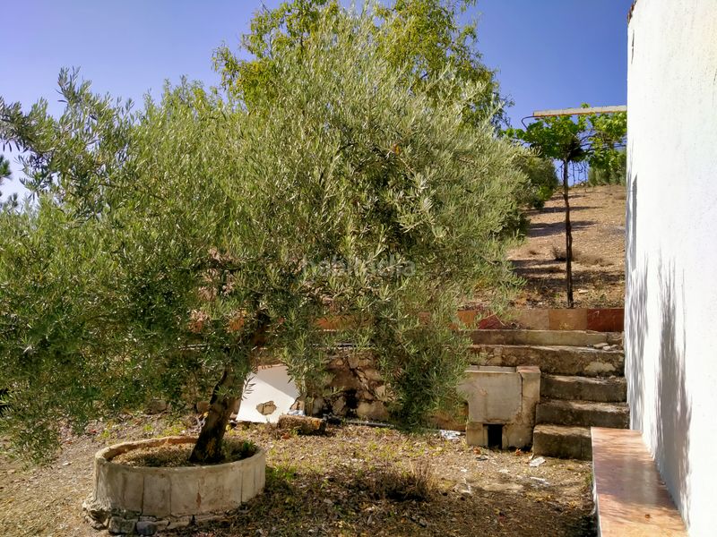 Foto d9adf41e-0967-4d53-b0ed-670cd6e63585. Finca rústica a Montejícar