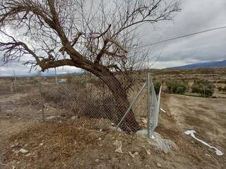 Terreno residenziale  Lugar gallardos