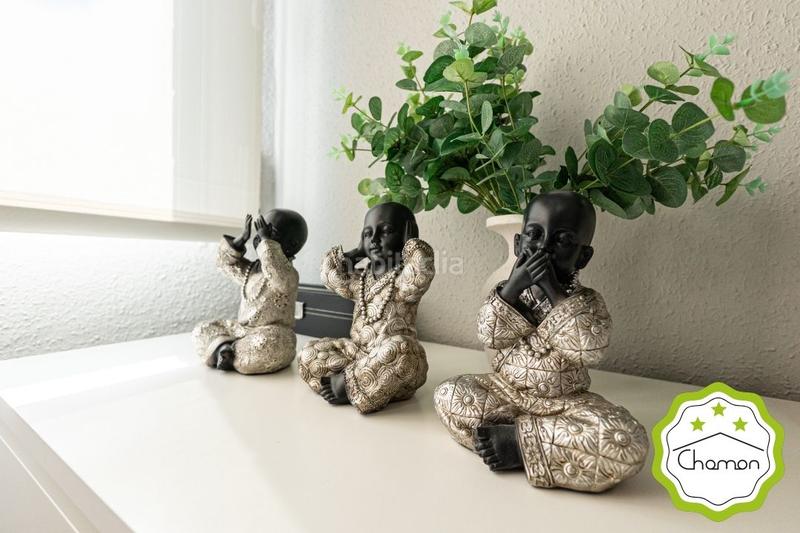 Foto f6f6e8bf-fc95-4031-9ca9-8955da923080. Pis a Centro-Ariz-Uribarri Basauri