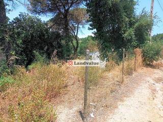 Residential Plot in Can massuet 1