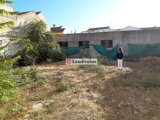 Residential Plot in Cl frias 8