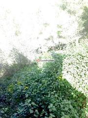 Terreno residencial en Urbanización ?Can Gordei?