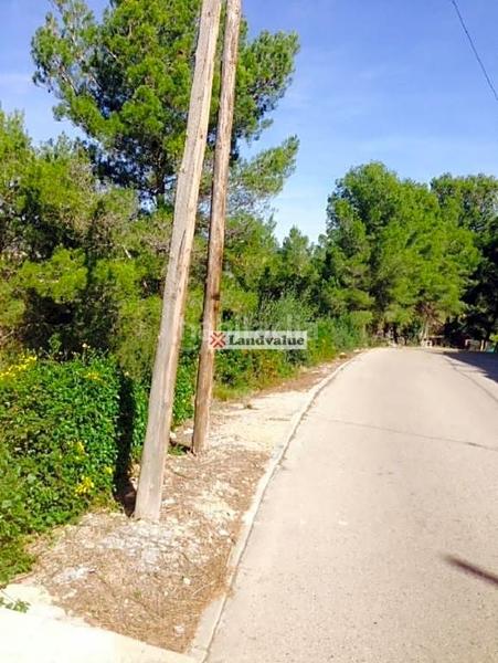 Foto f4ee2a4e-4847-460f-a76d-161287a07133. Terreny residencial a urbanización ?can gordei? a Bisbal del Penedès (La)
