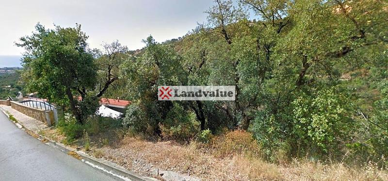 Foto 34985ba5-b467-40b7-8ba7-115b8e14dea7. Wohngrundstück in Urbanitzacions Platja d´Aro