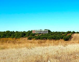 Landgut  Alto de las pozancas y la serrana