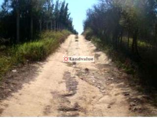 Wohngrundstück  Paraje el molinillo