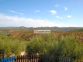 Finca rústica a Alcaudete. Finca rústica con una superficie de 30.659 m2s. referencia catas