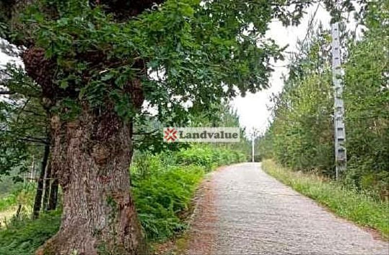 Foto 1aec9e96-396f-4d30-8d3d-4c4ce9164c26. Terreno residenziale in polígono 4. parcela 55 in Bedia