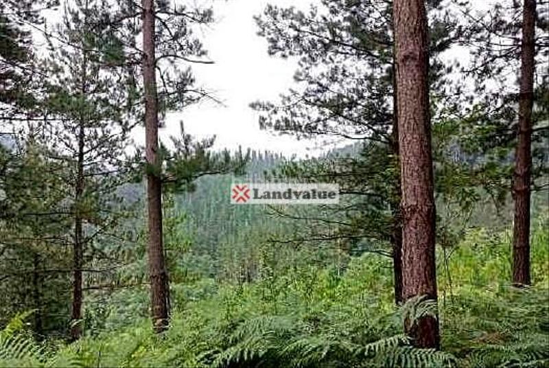 Foto 5b0d613b-7b2e-422d-9efc-15192e26049d. Terreno residenziale in polígono 4. parcela 55 in Bedia