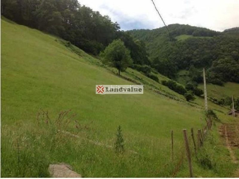 Foto 6ee8538c-abb4-450b-afa9-58e64121559c. Finca rústica a sitio embarao a Vega de Pas