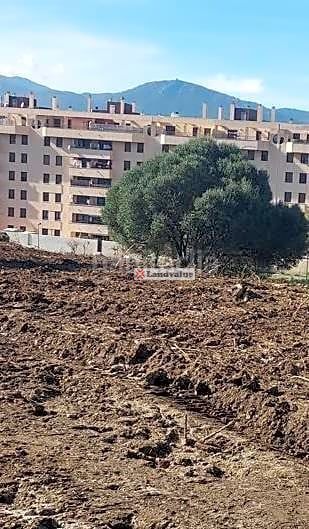 Foto cd1d49d9-5632-4b3d-91e4-5891bb332a7a. Terreno residencial en de américa 1 en San Bernabé Algeciras
