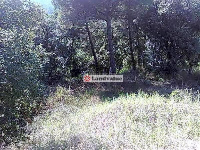 Foto 00e37895-aca5-4341-9c49-35ecbfa0a4ad. Terreny residencial a urb. 'can Canyamars' a Canyamars Dosrius
