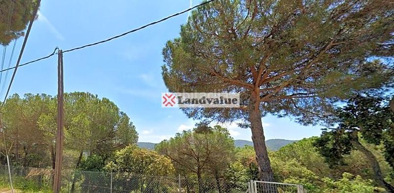 Foto fe5ea588-ca99-4dc3-b207-080a894becbc. Terreny residencial a urb. 'can Canyamars' a Canyamars Dosrius