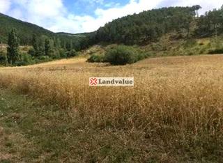 Terreny residencial a Polígono 15