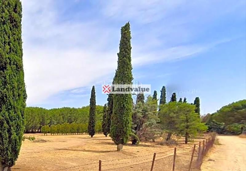 Foto ec4d5a91-a350-43a6-a54a-8eca77f760fe. Fondo rustico in polígono 3 in La Garena Alcalá de Henares