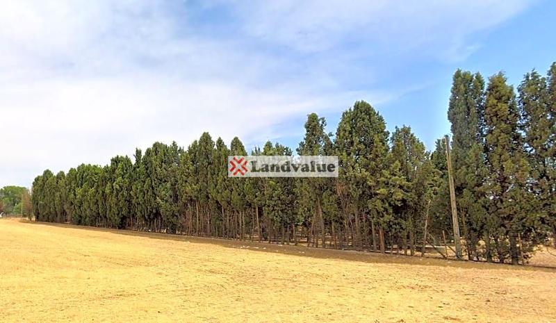 Foto 4cdf56fb-8a04-4edb-9148-5a1f946ee4af. Propriété dans polígono 3 dans La Garena Alcalá de Henares