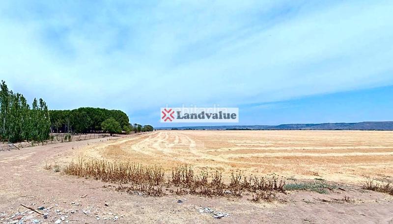 Foto 1445e898-5108-4b7e-a8ed-7bab148ebaa4. Finca rústica a polígono 3 a La Garena Alcalá de Henares