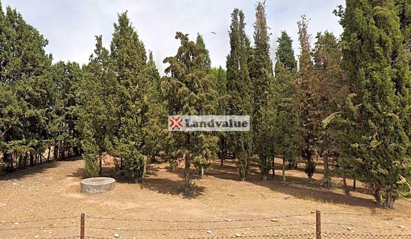 Foto 1fd5dd35-1ce6-4703-ac8a-8e9786c0be9d. Finca rústica a polígono 3 a La Garena Alcalá de Henares