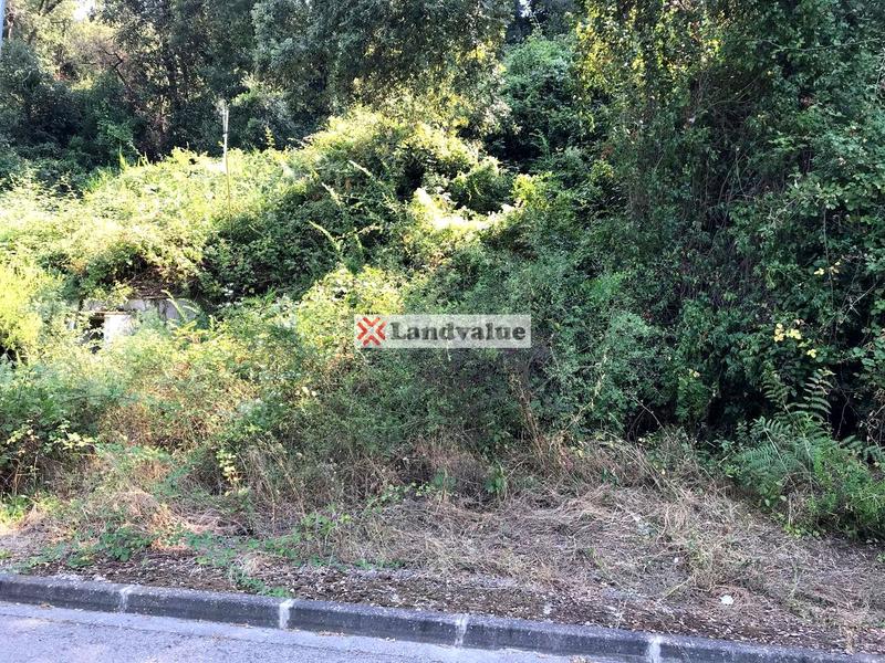 Foto 2b82377e-fcc1-4e75-941d-c7fae951b10a. Terreno residenziale in roble 9 in Mas Pere-Río de Oro Calonge