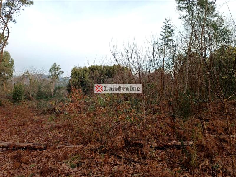 Foto 979dcc9f-f724-48b3-bbb1-740a955ee2ad. Landgut in polígono 166 in Parroquias Rurales Pontevedra