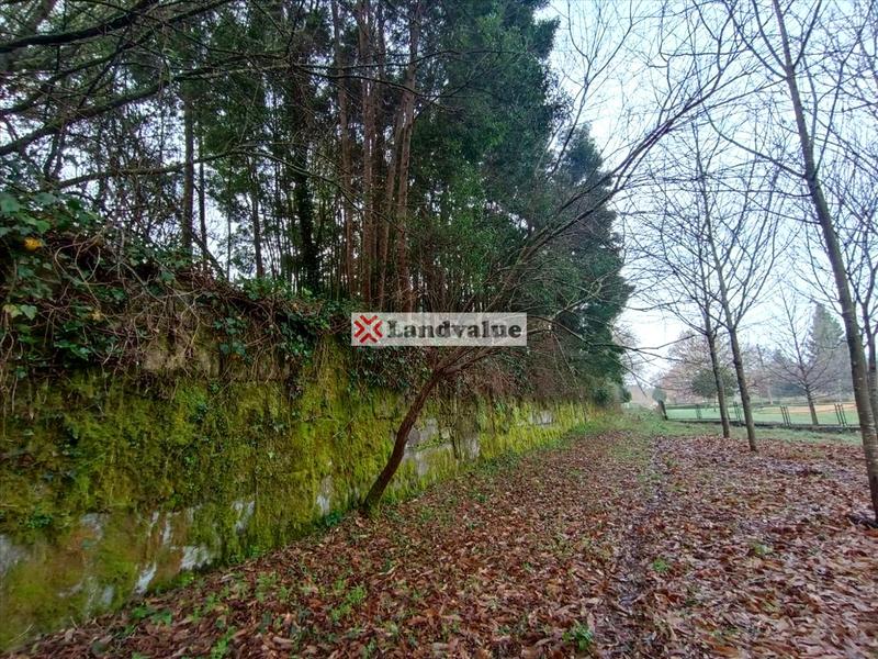 Foto 65b9aec2-6668-4da1-a53d-eed3ff1f416f. Propriété dans polígono 166 dans Parroquias Rurales Pontevedra