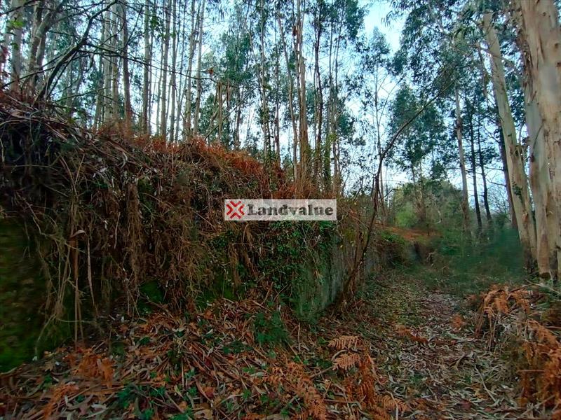 Foto 7a2fc46c-0c2f-4716-88ba-204d8ec0f8e0. Propriété dans polígono 166 dans Parroquias Rurales Pontevedra