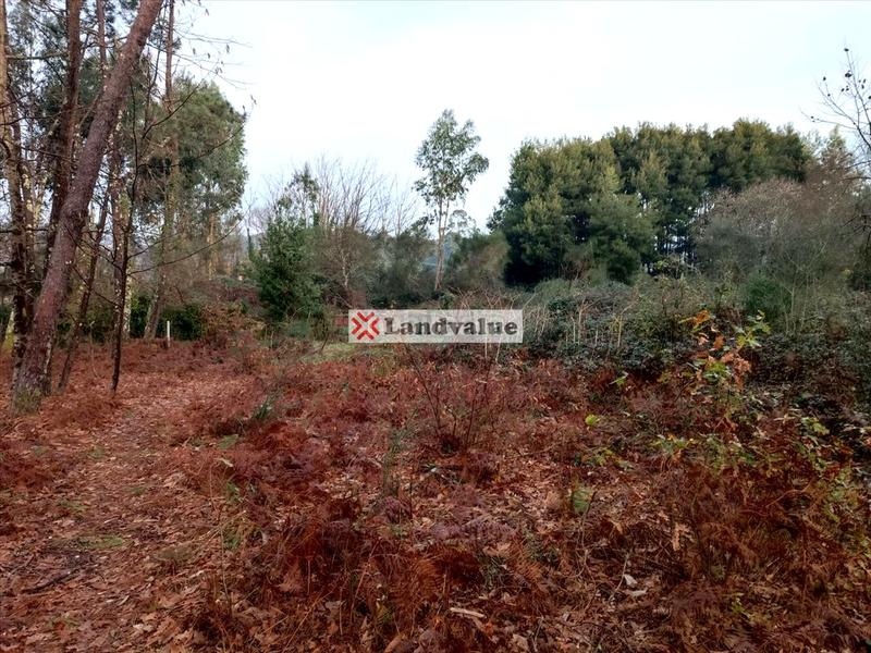 Foto 90336f63-9efd-46cd-88fd-12ec6263befb. Propriété dans polígono 166 dans Parroquias Rurales Pontevedra