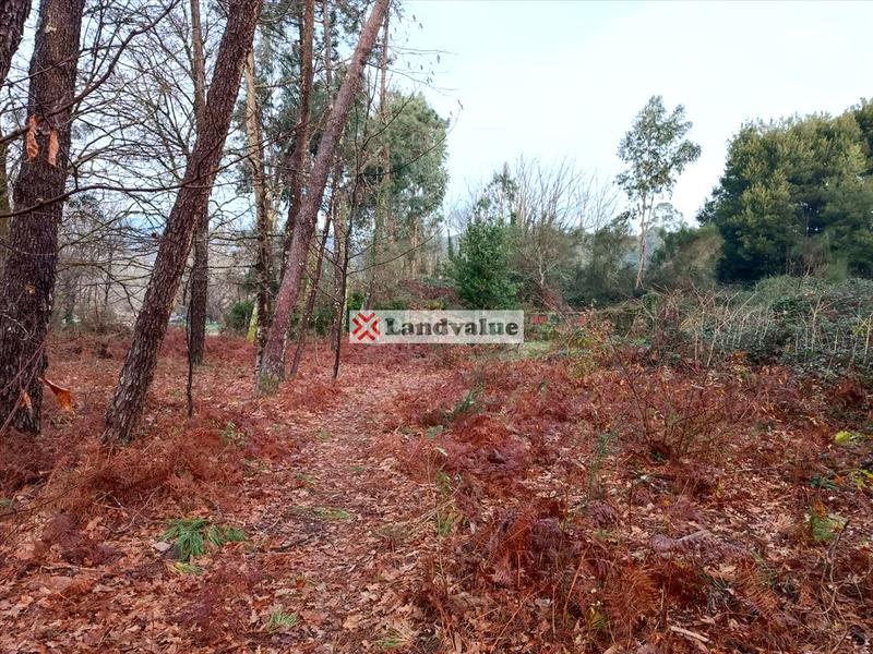 Foto 90c2545f-c61e-460e-9f57-ff8673451f87. Rural plot in polígono 166 in Parroquias Rurales Pontevedra