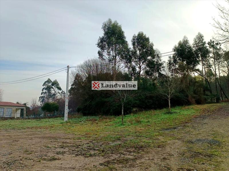 Foto 030d5999-ff74-422d-b153-c495d28d0067. Finca rústica en polígono 166 en Parroquias Rurales Pontevedra