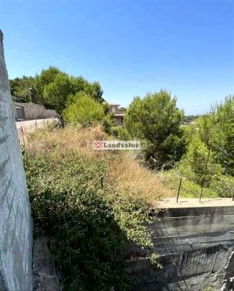 Foto 54520941-8ca1-4b4e-b2a6-7572702d2a29. Residential plot in montaverner in Bonavista-Lago San Lorenzo Cullera