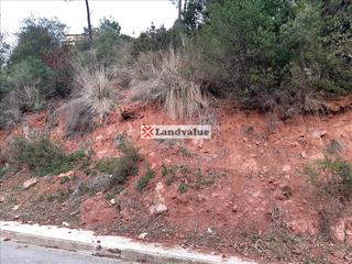 Residential Plot in Carrer 24