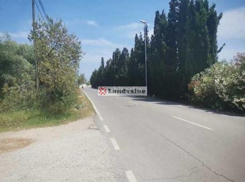 Foto 522a0eba-8431-46b8-aee6-7b860fa1976d. Terrain résidentiel dans carrer de peñíscola 8 dans Vinaròs